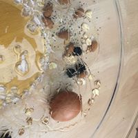 cours de cuisine particulier