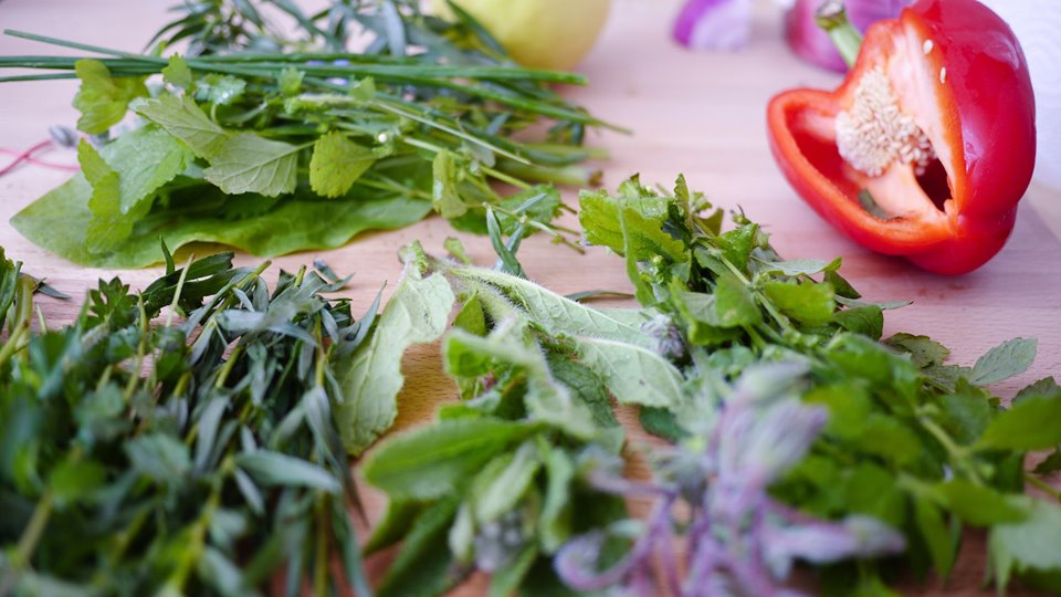 apprendre à utiliser herbes fraiches pour assaisonner
